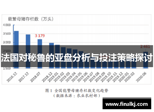 法国对秘鲁的亚盘分析与投注策略探讨