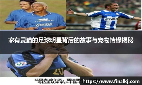 家有灵猫的足球明星背后的故事与宠物情缘揭秘